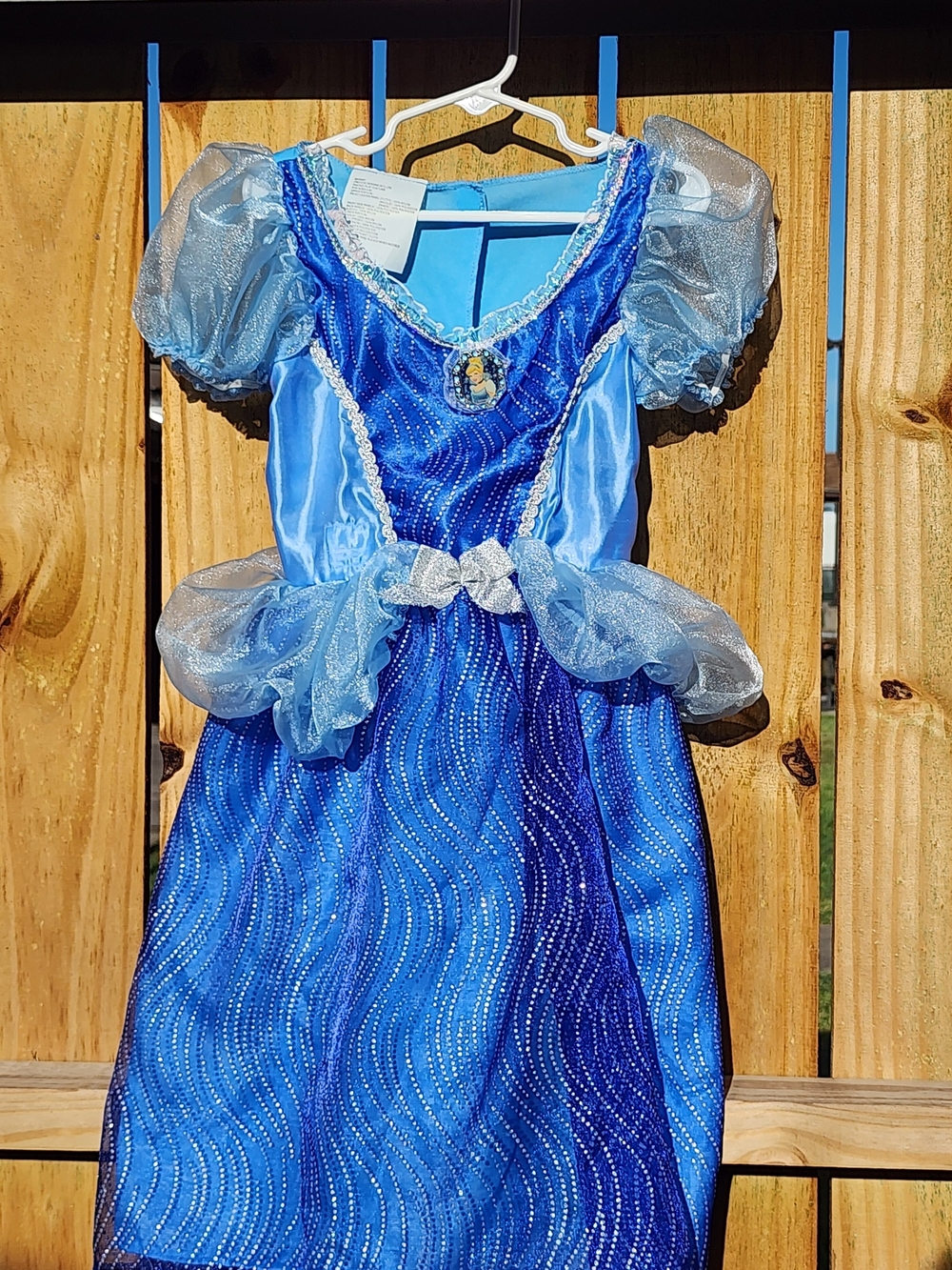 Disney Cinderella Costume Dress